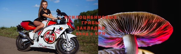 сатива Киренск