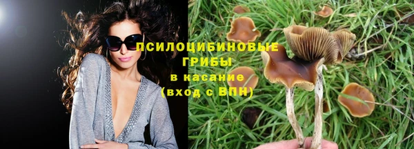 сатива Киренск